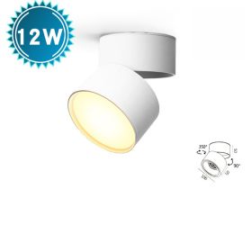 LED Folding Living Room Ceiling Lamp (Option: White 12W-White light)